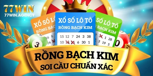 Bật mí kinh nghiệm soi cầu rồng bạch kim chuẩn xác 99,99%